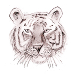 Lernebene Könner - Tiger